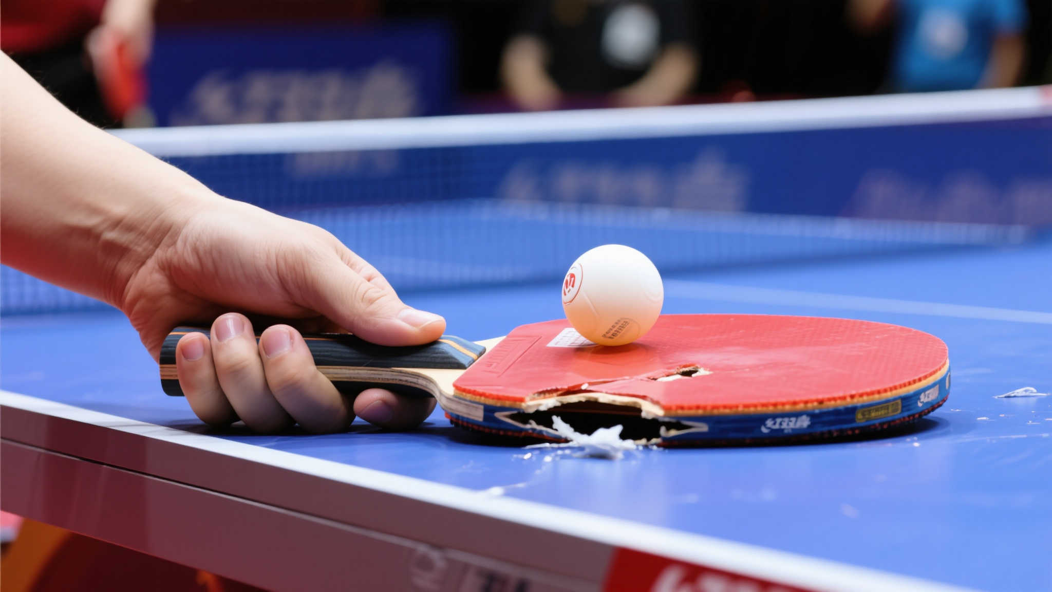 乐鱼体育-客户满意